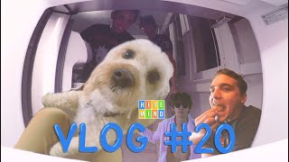 Hank amp Tonys Time Warp Refrigerator Vlog  Live HungryforFriedPickles Review Hivemind Vlog 20 [upl. by Horwitz]