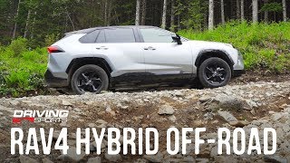 2019 Toyota RAV4 Hybrid XSE Review and OffRoad Test [upl. by Aihsikal]