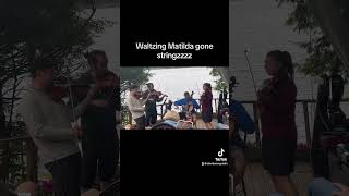 KASA Quartet shredding on Waltzing Matilda classicalmusic stringquartet violin viola cello [upl. by Delcine]