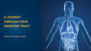 The Digestive Process  University of Michigan Health System [upl. by Aurelia]