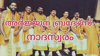 Arjuna brothers nadhaswaram  Ramlals Views [upl. by Lessig]