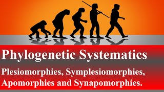 Phylogenetic Systematics Plesiomorphies Symplesiomorphies Apomorphies and SynapomorphiesLesson 6 [upl. by Lemert]