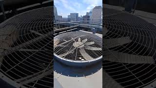 Day in the life of a Commercial HVAC tech 100hpmotors FLAKTfans vibrationanalysis chillerplant [upl. by Weissberg]