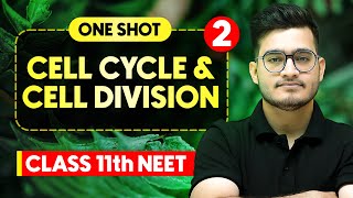 CELL CYCLE amp CELL DIVISION  Complete Chapter in One Video  ConceptsPYQs  Class 11th NEET [upl. by Atived]