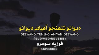 deewanoTunjoAyandeewano Royo Royo dil sare unplugged   Sindhi SlowedReverb  lofi❤️ [upl. by Hayyim]