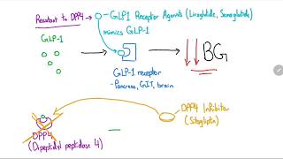 GLP1 Receptor Agonists and DPP4 Inhibitors Explained in 4 Minutes [upl. by Melia23]