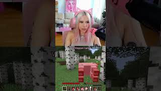 Sarah verschlägt gerne Chicks shorts minecraft [upl. by Tinor506]