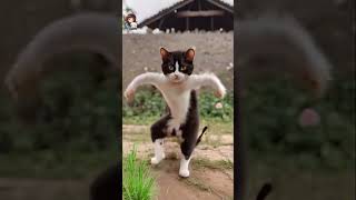 Oppa is Style cat funny dance shorts [upl. by Bate503]