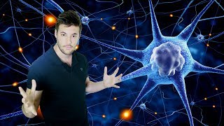 Cómo utilizar los dos hemisferios del cerebro EL PODER DE LA MENTE [upl. by Haeli90]