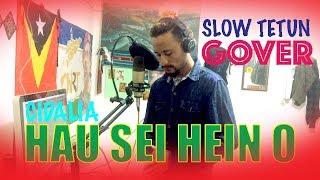 HEIN  GoldoGP Cover  Slow Musik  Cidalia 2019 [upl. by Nosreve352]