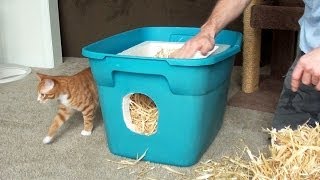 How to Make a Feral Cat Shelter [upl. by Novrej]