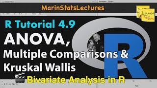 ANOVA ANOVA Multiple Comparisons amp Kruskal Wallis in R  R Tutorial 49  MarinStatsLectures [upl. by Willing]