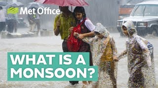 What is a monsoon [upl. by Ihsar]