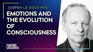 FEAR EMOTIONS amp THE EVOLUTION OF CONSCIOUSNESS  Joseph Le Doux PHD 11 [upl. by Ary626]