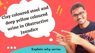 Clay coloured stool and deep yellow coloured urine in Obstructive Jaundice WHY [upl. by Crispa]