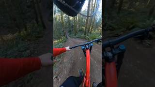 Duthie Hill Mt Bike Park  HLC trail [upl. by Mattson]