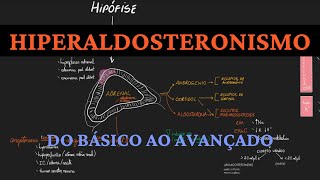 Hiperaldosteronismo  do básico ao avançado [upl. by Johannes]