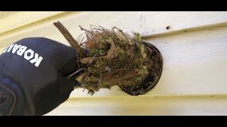 Tis The Season BYEBYE BIRDIE How To Cleaning a DRYER VENT almetaldryervent satisfying fyp [upl. by Enylodnewg]