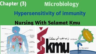 Microbiology hypersensitivity unit lll lecture in pashto [upl. by Outlaw]