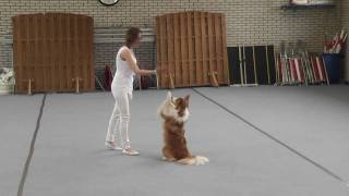 Chanti en Flame  dog dance video wedstrijd [upl. by Hgeilhsa547]