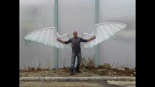 Mechanical wings by Liad Gordon [upl. by Philipp459]