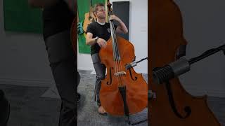 Upright Bass Short Groove 2 bass bassgroove uprightbass [upl. by Rozelle996]