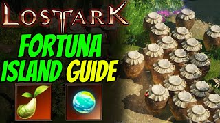 LOST ARK  FORTUNA ISLAND TOKEN Guide [upl. by Yahsel]