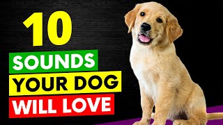 10 Sounds Your Dog Will Love [upl. by Eseerahs610]