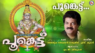 പൂങ്കെട്ട് കെട്ടു കെട്ടി  ayyappa devotional song malayalam  mg sreekumar [upl. by Farica]