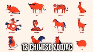 The 12 Chinese Zodiac Signs amp What They Mean for Your Personality And The Year Ahead  Ziggy Natural [upl. by Erastus]