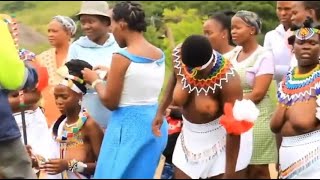 Dance Umhlanga reed dance [upl. by Valentina891]