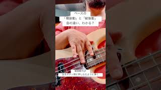 ベースの横振動と縦振動の音の違いを比較 ベース bass ベーシスト [upl. by Finnigan]