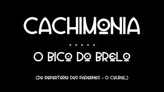 Cachimonia O bico do brelo [upl. by Yelra]