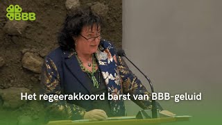 Caroline van der Plas  Inbreng Algemene Politieke Beschouwingen 2024 [upl. by Rugg444]