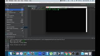 Build a Standalone Python Application on Mac using pyinstaller [upl. by Nayllij]