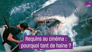 Des quotDents de la merquot à quotSous la Seinequot pourquoi le requin fascine le cinéma [upl. by Kosak]