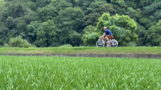 ランドナーで地元をサイクリング【アラヤ スワロー・ランドナー】 [upl. by Rupert]