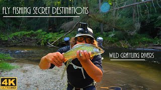 FLY FISHING SECRET DESTINATIONS  Wild Grayling Rivers flyfishing fishing dryflyfishing nature [upl. by Nauaj238]