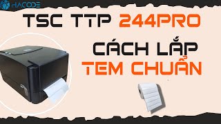 Cách lắp mực và decal cho máy in mã vạch TSC TTP 244 Pro [upl. by Ahsieat]