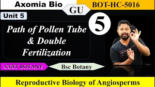 Path of pollen tube amp Double Fertilization Reproductive biology Bsc Botany 5th sem GU Axomia Bio [upl. by Aihtennek858]