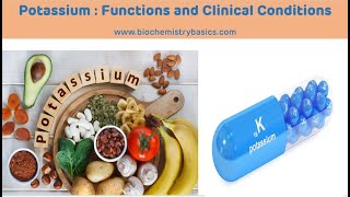 Potassium  Functions and Clinical Conditions  Hyperkalemia and Hypokalemia  Potassium [upl. by Asoj]