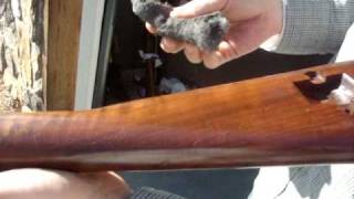 quotPart 4 Applying the Truoil and buffing to the desired finishquot Stock Refinishing [upl. by Nohsyt]