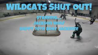 NP Wildcats  SHAHA Panthers 10U Youth Ice Hockey  9 Dec 2023 [upl. by Maitland]