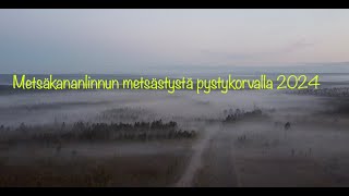 KANALINNUN METSÄSTYS 2024  METSÄSTYSTÄ PYSTYKORVALLA [upl. by Leamaj435]