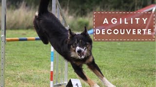 AGILITY DECOUVERTE [upl. by Doak]