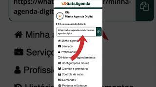 3 Seu site de Agendamento [upl. by Harberd]