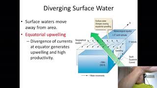 Upwelling [upl. by Llerehc]
