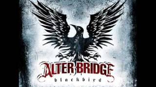 Alter Bridge  Blackbird  Lyrics [upl. by Yevad376]