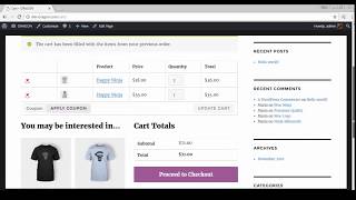 Demo Checkout for WooCommerce CyberSource Payment Gateway cybersource woocommerce wordpress [upl. by Matusow]