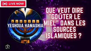 Cest quoi quotgoûter le mielquot en islam  Histoire de mahomet avec hafsa et maria la copte sourate 66 [upl. by Masera]